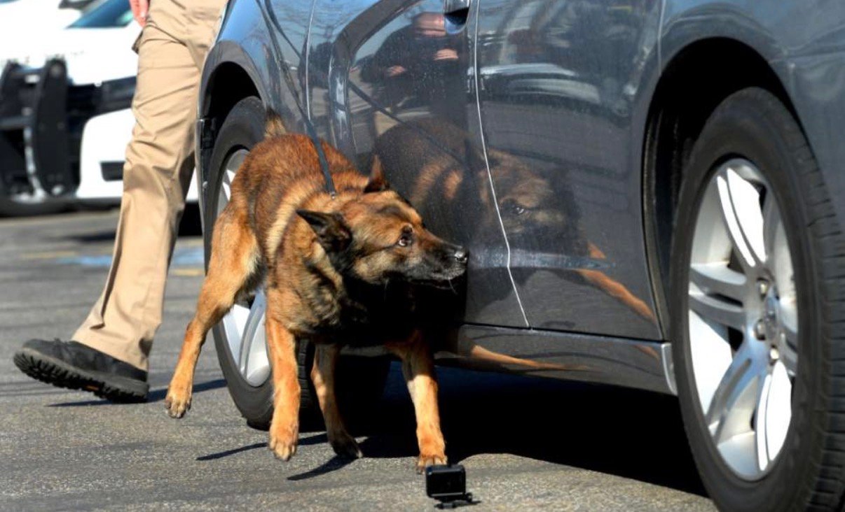 Traffic Stop in Currituck County Leads to Drug Trafficking Charges, DWI Arrest