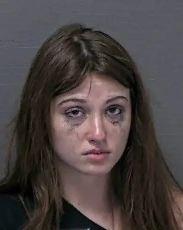 Traffic Stop in Manns Harbor Leads to Drug Arrest